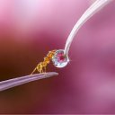 ���� �����, ������, 105 ��� - ��������� 19 �������� 2016 � ������ ������ ��������