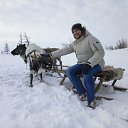 ���� ������, ����� �������, 31 ��� - ��������� 21 ����� 2017