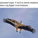 ���� ��@, �������, 54 ���� - ��������� 13 �������� 2016 � ������ ������ ��������