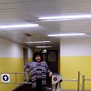 ���� �����, ������, 66 ��� - ��������� 31 ����� 2017 � ������ ���� ����������