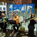   , , 52  -  1  2016     &quot; &quot;  -. 1  2016.