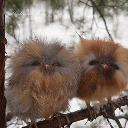 ���� ����, ������� - ��������� 14 ������� 2016