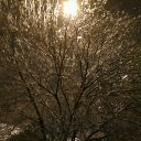 ���� ������, ���������, 60 ��� - ��������� 30 ������ 2016 � ������ ���� ����������