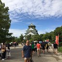 ���� Kooya, ����� - ��������� 29 �������� 2016 � ������ ���� ����������