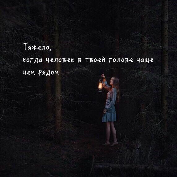  | ,  - 17  2017  19:02