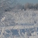 ���� ����, ������ - ��������� 14 ������� 2016 � ������ ��� ���Ż