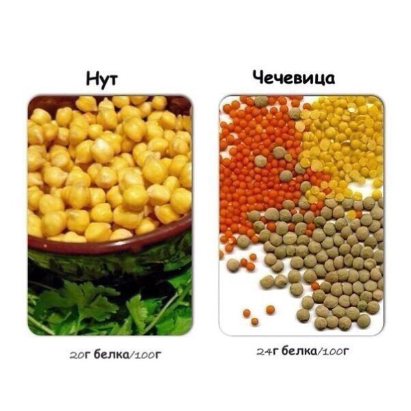Содержание белка в распространенных продуктах. Помним, что в крупах и бобовых-растительные белки, а ... - 3