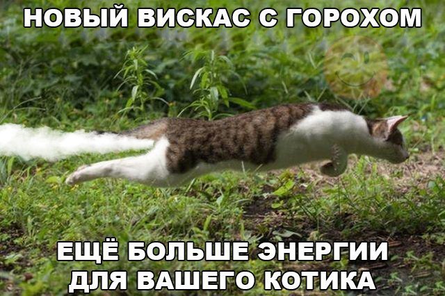 ������ �� ��� :D - 17 ������ 2017 � 18:25