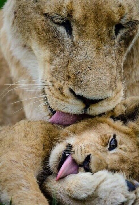   - 3  2017  16:18 - 4