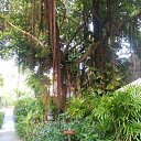    -  ,  -  6  2016    2014.  11.  lawana ( )