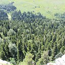 ���� �����, ������, 41 ��� - ��������� 18 ������ 2017 � ������ ������� 2016�