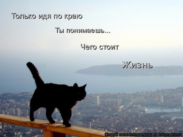 ������� ���� ������������� ����. ����� �� ���� ��������, ������� ����������� ������� � ������, ... - 9