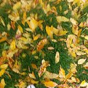 ���� �����, ��������, 56 ��� - ��������� 10 ������� 2016