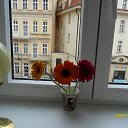 ���� Minisa, ��� - ��������� 22 ����� 2017 � ������ ���� ����������