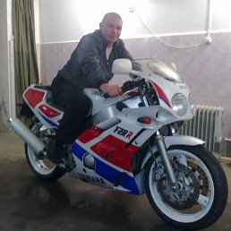 ������, �����������, 48 ���