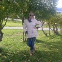 ���� ����������, �������������, 51 ��� - ��������� 11 ������ 2017 � ������ ���� ����������