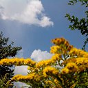 ���� ����, ���������, 67 ��� - ��������� 26 ������ 2016 � ������ ���� ����������