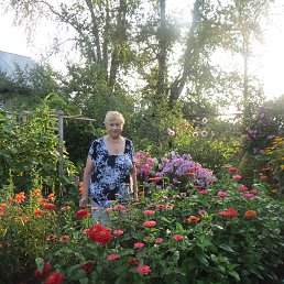 ���� ����, ��������, 83 ���� - ��������� 19 ������ 2017