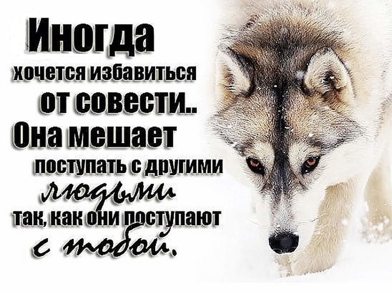  - 13  2016  15:21