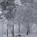 ���� �����, ��������, 46 ��� - ��������� 8 ������ 2016 � ������ ���� ����������