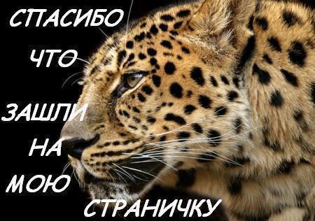 ��������:maik 2134 ������"�������" ������� - 25 ������ 2016 � 02:08