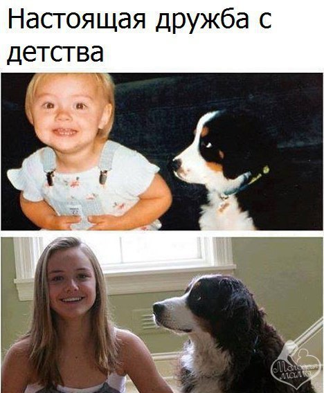   -   - 8  2016  21:41