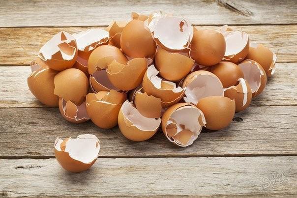 10 ПОВОДОВ НЕ ВЫБРАСЫВАТЬ ЯИЧНУЮ СКОРЛУПУ.1. Лечим многие болезниУпотребление яичной скорлупы ...