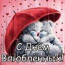 ���� �@���@, �����, 42 ���� - ��������� 14 ������� 2017 � ������ ������ ��������