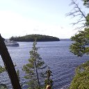 ������ ������ �� ������� ���� ����������