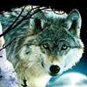 ���� ������, ��������, 50 ��� - ��������� 2 ������� 2017 � ������ �������