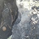 ���� �������, ����� - ��������� 17 ������ 2017 � ������ ���������