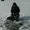 ���� ������, ����-���������, 49 ��� - ��������� 7 ����� 2017