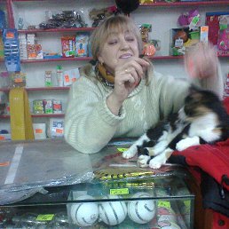 ���� ���������, �����-��������� - ��������� 4 ������� 2016