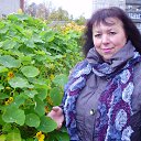 ���� �������, �����������, 68 ��� - ��������� 3 ������� 2016 � ������ ���� ����������