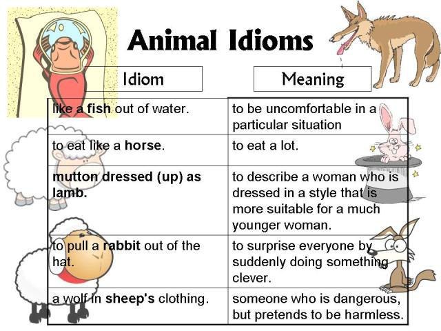 Animal Idioms - 5