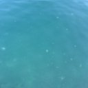 ���� ���������, ������, 69 ��� - ��������� 19 �������� 2016 � ������ ���� ����������