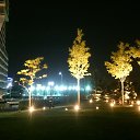  ������ �����... �� ������� ���� ����������