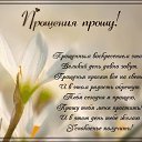 ���� �������, �����-��������� - ��������� 26 ������� 2017 � ������ ���� ����������