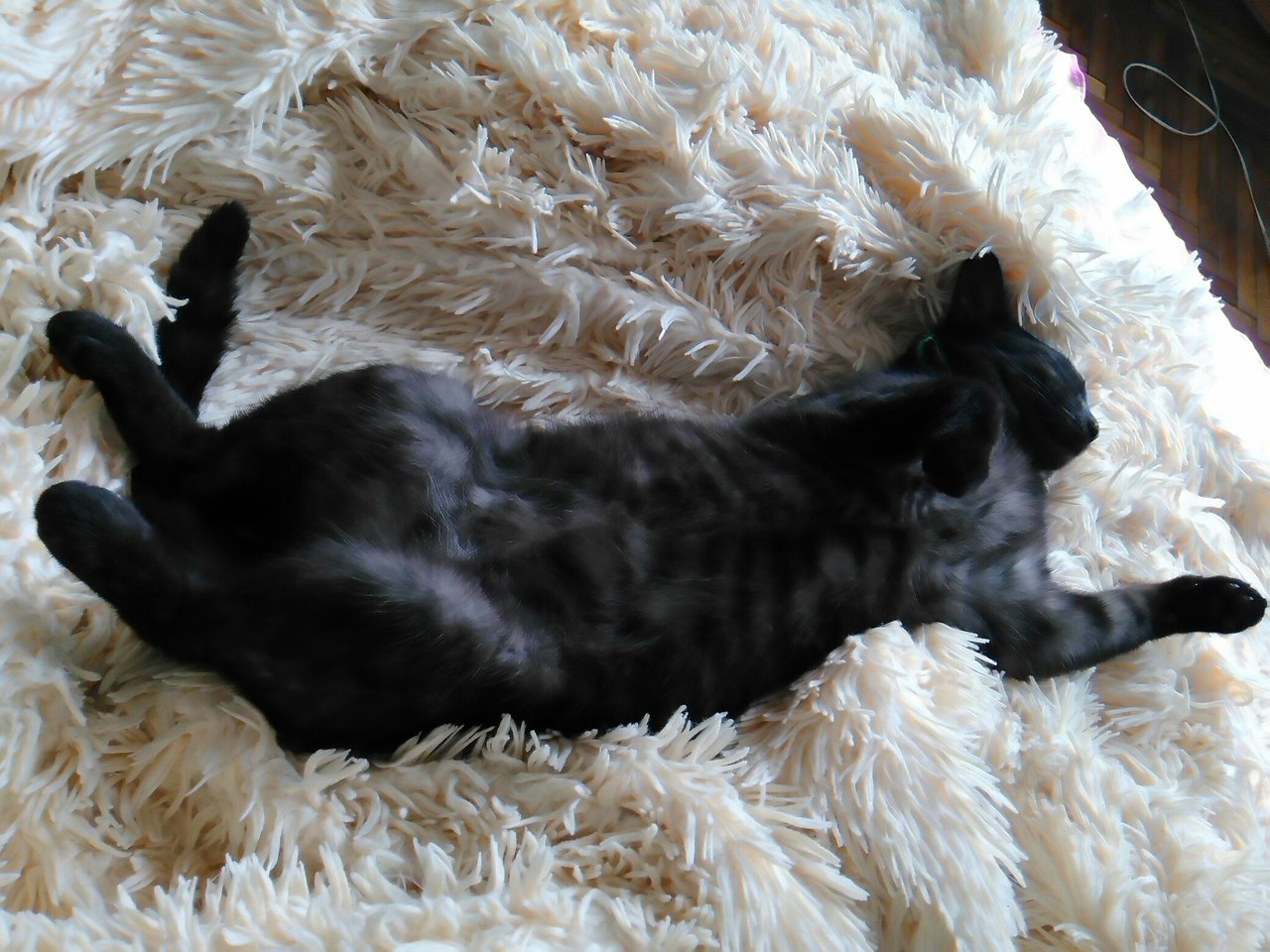 #_.  2015     ,      ... - 5