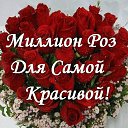 ���� �����, ������, 39 ��� - ��������� 8 ������� 2016 � ������ ������ ��������