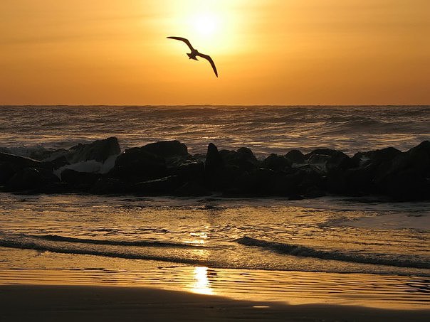 Всё пройдёт...кроме Жизни. Жизнь пролетит...