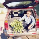 ���� �������, ���������, 66 ��� - ��������� 9 ����� 2017 � ������ ���� ����������