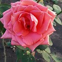 ���� ������, ������, 60 ��� - ��������� 14 �������� 2016 � ������ ���� ����������