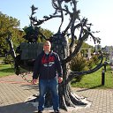 ���� �������, ������ ��������, 53 ���� - ��������� 6 ������ 2017 � ������ ���� ����������