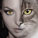 ���� ����� �����, ����, 50 ��� - ��������� 15 ����� 2017 � ������ �������� ������