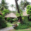 ���� ���������, ��������, 59 ��� - ��������� 7 ������ 2017 � ������ ���� ���� ������