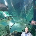 ���� Andrzej, ��������, 48 ��� - ��������� 26 ������� 2016