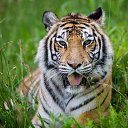 ���� �����, ���������, 27 ��� - ��������� 31 ������ 2017 � ������ ���� ����������