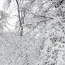 ���� �������, ���������, 52 ���� - ��������� 30 ������ 2016 � ������ ��������!�