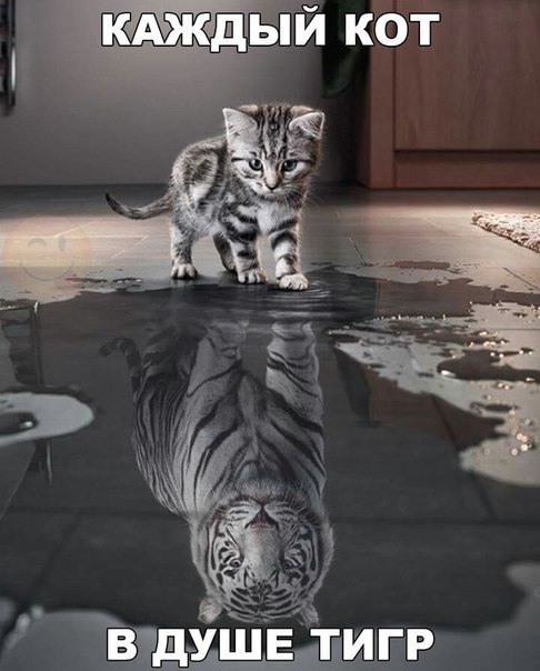    :D - 23  2016  12:08